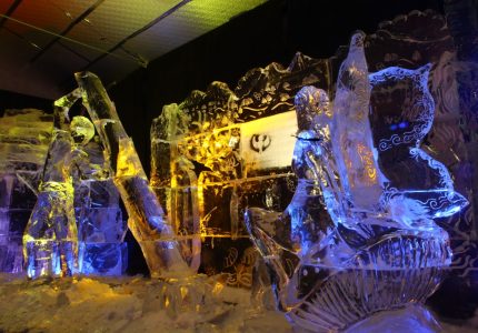 THE LAND OF ICE
