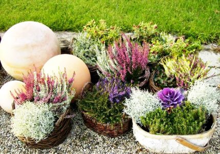 Breathtaking BEFORE/AFTER garden transformations