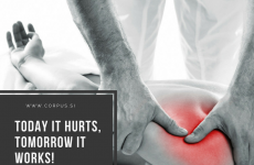 Solve your problems with physiotherapy Corpus!