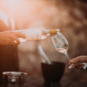 What to do in November? Visit Ljubljana Wine Festival and Ljubljana Gourmet Festival!
