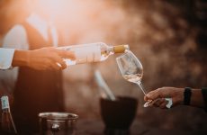 What to do in November? Visit Ljubljana Wine Festival and Ljubljana Gourmet Festival!