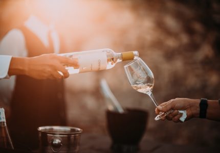 What to do in November? Visit Ljubljana Wine Festival and Ljubljana Gourmet Festival!