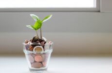 Grow your savings with SBERBANK