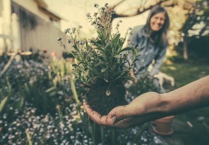 Stay physically active during self-quarantine