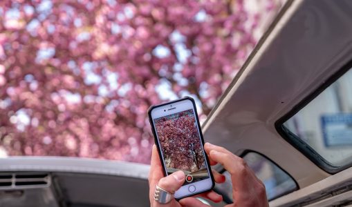 Carefree communication for only 16 EUR per month with TELEMACH!